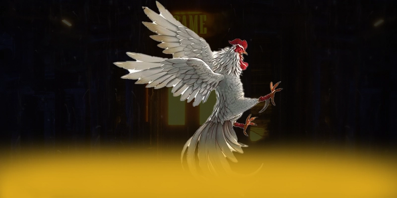 Khám phá hành trình của KUWIN - Nhà cái đẳng cấp tại Việt Nam
Khám phá hành trình của KUWIN - Nhà cái đẳng cấp tại Việt Nam