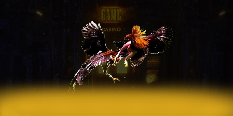 DAGA88 - Lời kết đầy ấn tượng theo đánh giá từ người dùng. DAGA88 - Lời kết đầy ấn tượng theo đánh giá từ người dùng.