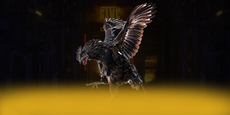 LC88 – Cổng cá cược uy tín, được cộng đồng đánh giá tích cực.