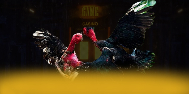 SA88 - Nền tảng cá cược sở hữu top trò chơi nổi bật hiện nay – Khám phá danh mục giải trí của SA88 SA88 - Nền tảng cá cược sở hữu top trò chơi nổi bật hiện nay – Khám phá danh mục giải trí của SA88