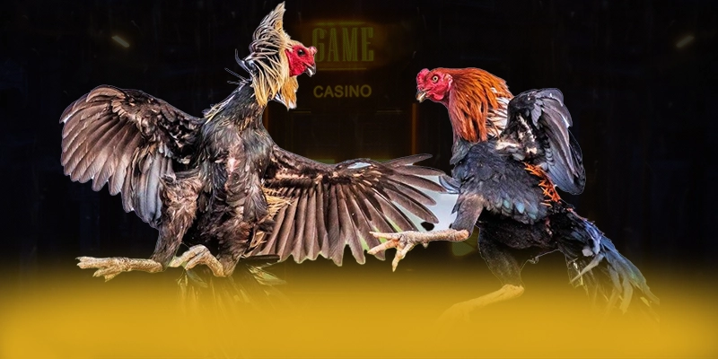 DAGA88 - Sân chơi được game thủ yêu thích được giới cược thủ tin tưởng – Khám phá DAGA88 DAGA88 - Sân chơi được game thủ yêu thích được giới cược thủ tin tưởng – Khám phá DAGA88