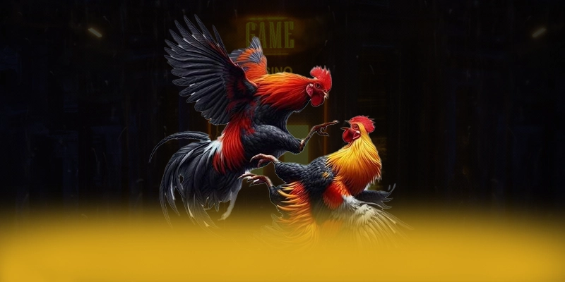 N88 – Cổng cá cược được nhiều người chơi lựa chọn, khẳng định vị thế hàng đầu tại Việt Nam.