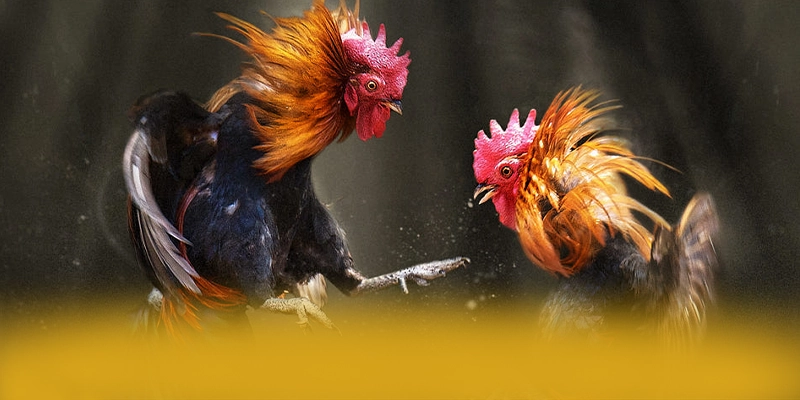 tỷ lệ kèo bóng đá - Thương hiệu game trực tuyến có danh mục game hấp dẫn được đánh giá cao – Tổng hợp game hot tại tỷ lệ kèo bóng đá tỷ lệ kèo bóng đá - Thương hiệu game trực tuyến có danh mục game hấp dẫn được đánh giá cao – Tổng hợp game hot tại tỷ lệ kèo bóng đá