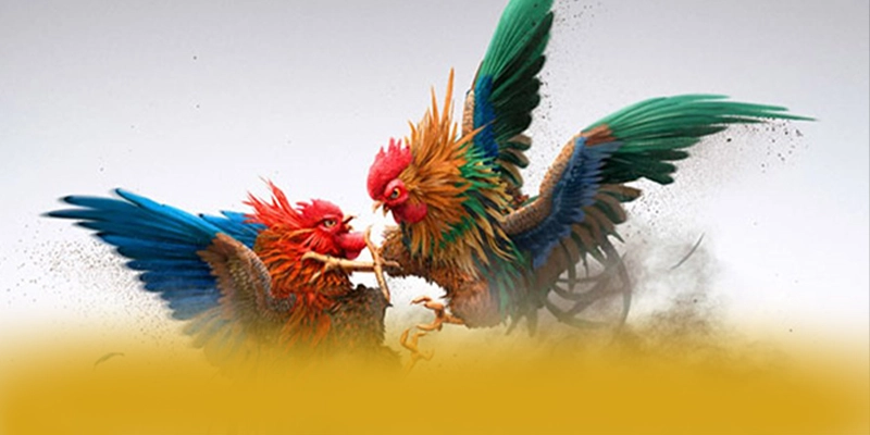 KUWIN - Cổng giải trí với hệ thống bảo mật hiện đại được đánh giá cao – Khám phá cam kết an toàn của KUWIN KUWIN - Cổng giải trí với hệ thống bảo mật hiện đại được đánh giá cao – Khám phá cam kết an toàn của KUWIN