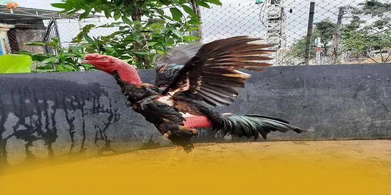 GEM88 - Ứng dụng giải trí được yêu thích được yêu thích hàng đầu – Khám phá chính sách thưởng tại GEM88 GEM88 - Ứng dụng giải trí được yêu thích được yêu thích hàng đầu – Khám phá chính sách thưởng tại GEM88