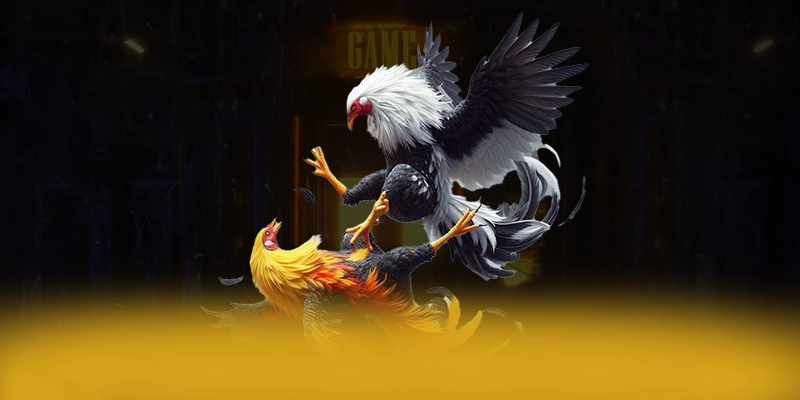 GEM88 – Cổng cá cược uy tín số 1, khẳng định vị thế hàng đầu tại Việt Nam. GEM88 – Cổng cá cược uy tín số 1, khẳng định vị thế hàng đầu tại Việt Nam.