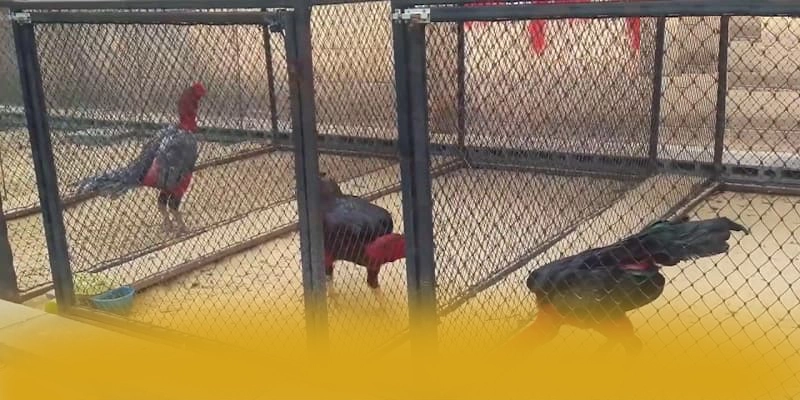 W88 – Sân chơi uy tín số 1, được cộng đồng đánh giá tích cực. W88 – Sân chơi uy tín số 1, được cộng đồng đánh giá tích cực.