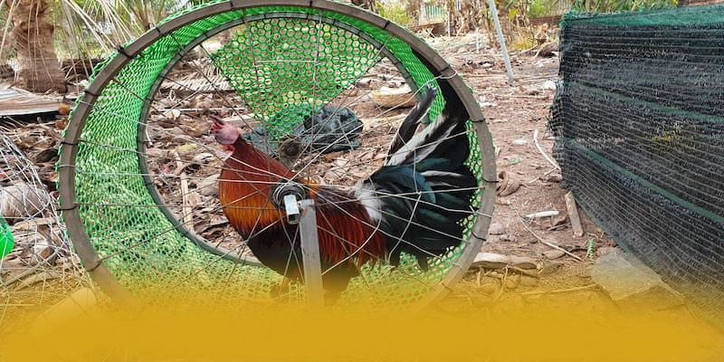 GO8 – Cổng game bài phổ biến nhất, khẳng định vị thế hàng đầu tại Việt Nam.